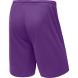 Шорты баскетбольные JÖGEL CAMP Basic, фиолетовый, детский