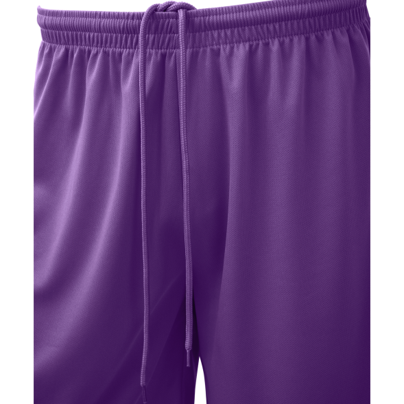 Шорты баскетбольные JÖGEL CAMP Basic, фиолетовый, детский