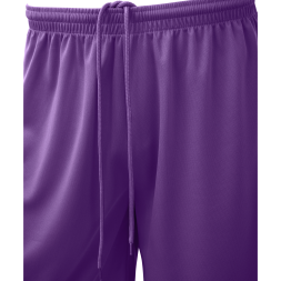 Шорты баскетбольные JÖGEL CAMP Basic, фиолетовый, детский