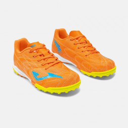 Ассортимент | EVOLUTION JR 2608 TURF