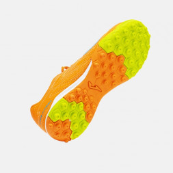 Ассортимент | EVOLUTION JR 2608 TURF