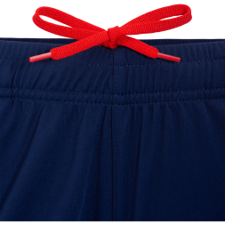 Шорты тренировочные JÖGEL NATIONAL PerFormDRY Training Shorts, темно-синий