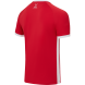Футболка игровая JÖGEL DIVISION PerFormDRY Element Jersey, красный