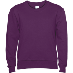 Свитшот детский STAN футер без начёса, 260, 63J