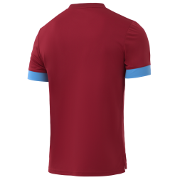 Футболка игровая JÖGEL DIVISION PerFormDRY Union Jersey, гранатовый/голубой/белый