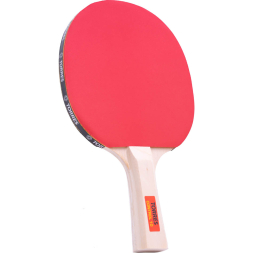 Ракетка для настольного тенниса TORRES Control 10 TT0001