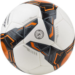 Мяч футбольный JÖGEL Championship №5, белый