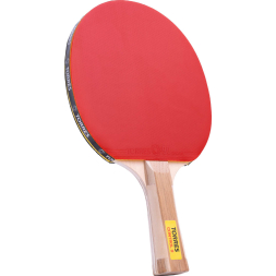 Ракетка для настольного тенниса TORRES Control 9 TT0002