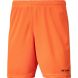 Шорты игровые детские 2K Sport Classic II