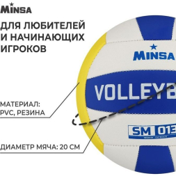 Мяч волейбольный MINSA SM 013, ПВХ, машинная сшивка, 18 панелей, р. 5