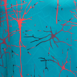 CAMISETA MANGA CORTA ELITE IX TURQUESA