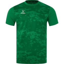 Футболка вратарская JÖGEL DIVISION PerFormDRY SPLASH GK Jersey, зеленый