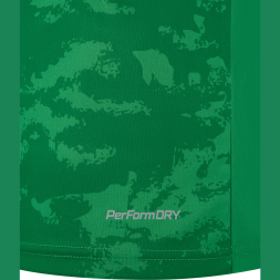 Футболка вратарская JÖGEL DIVISION PerFormDRY SPLASH GK Jersey, зеленый