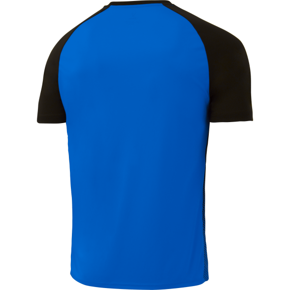 Футболка игровая JÖGEL CAMP Striped Jersey, синий/черный, детский